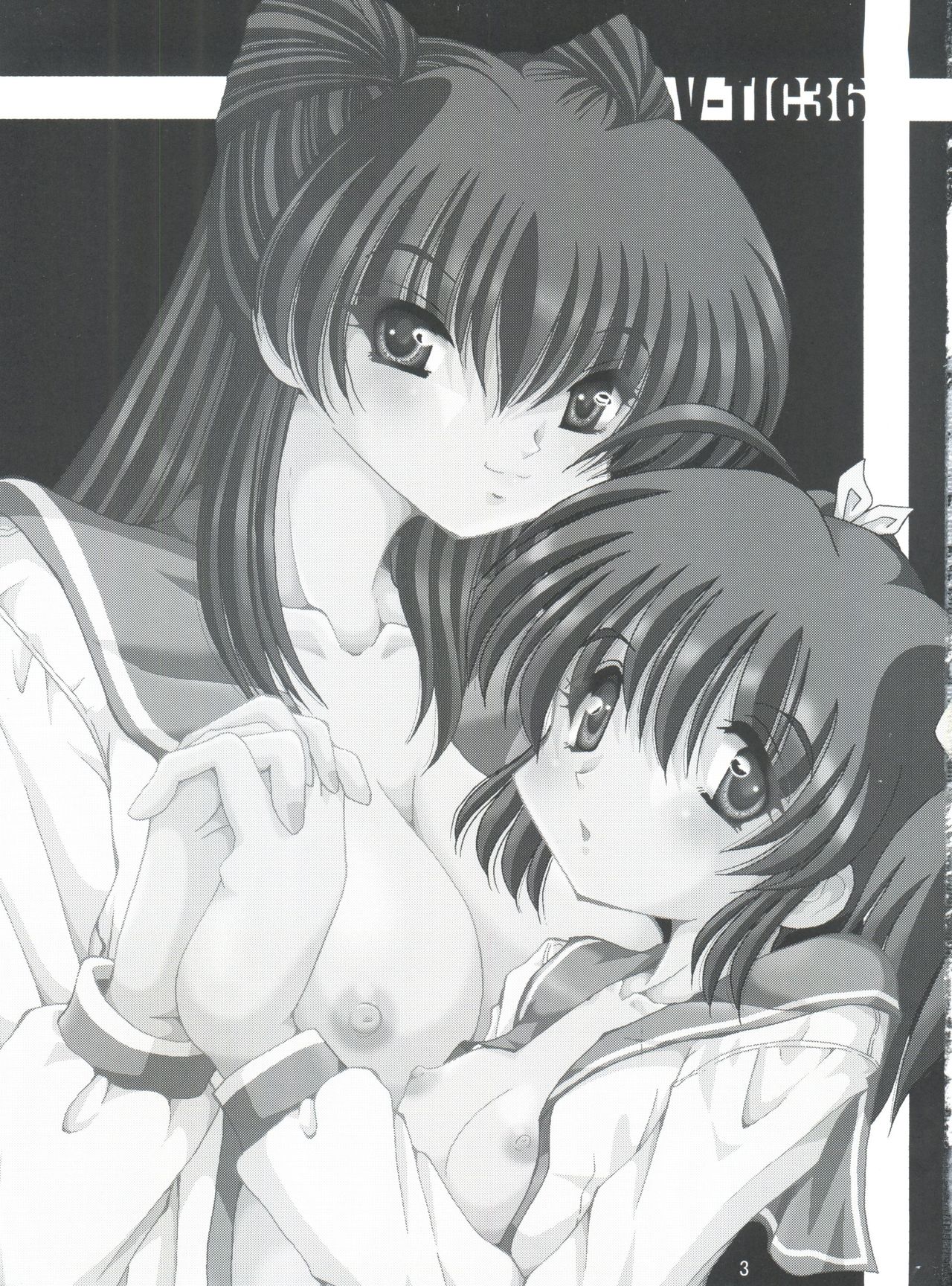 V-TIC 36 page 2 full