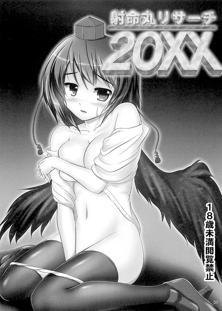 Shameimaru Research 20XX page 3 full