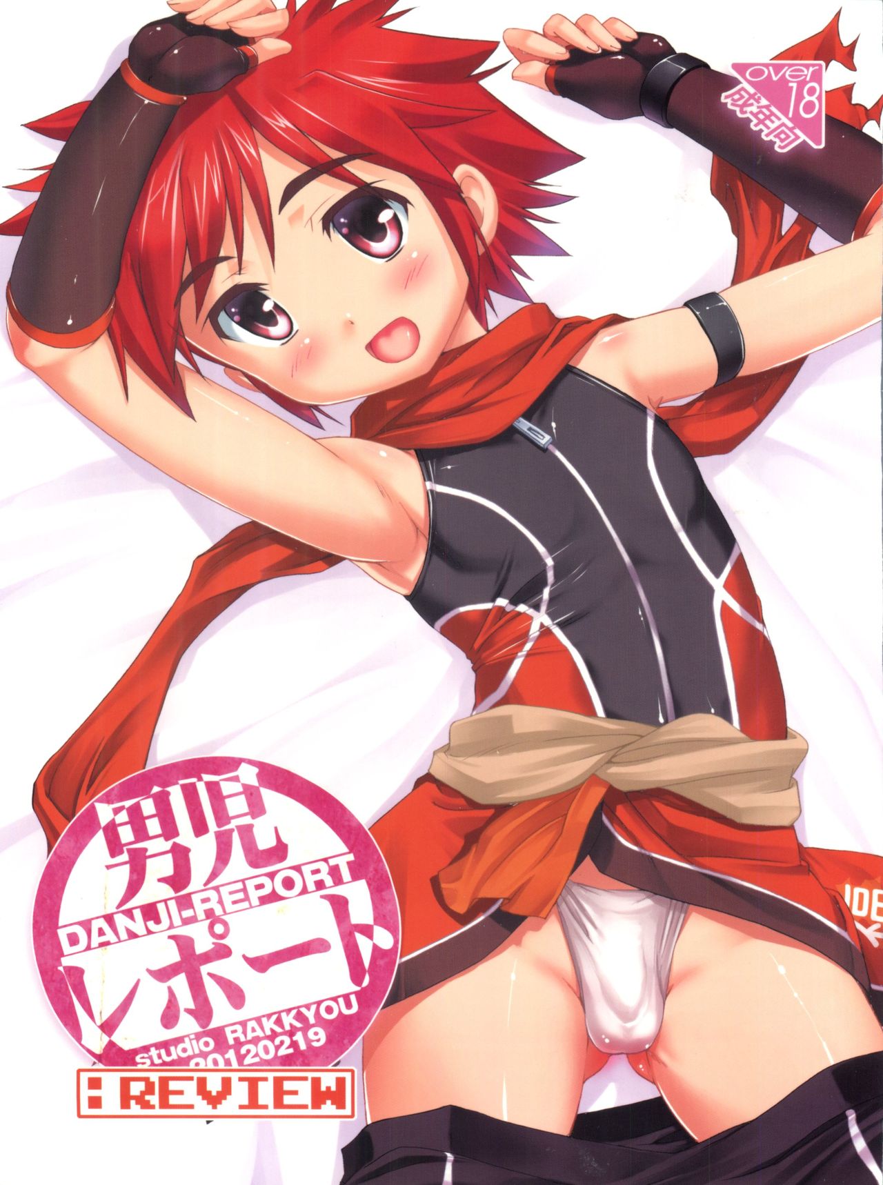 Danji Report: REVIEW page 1 full