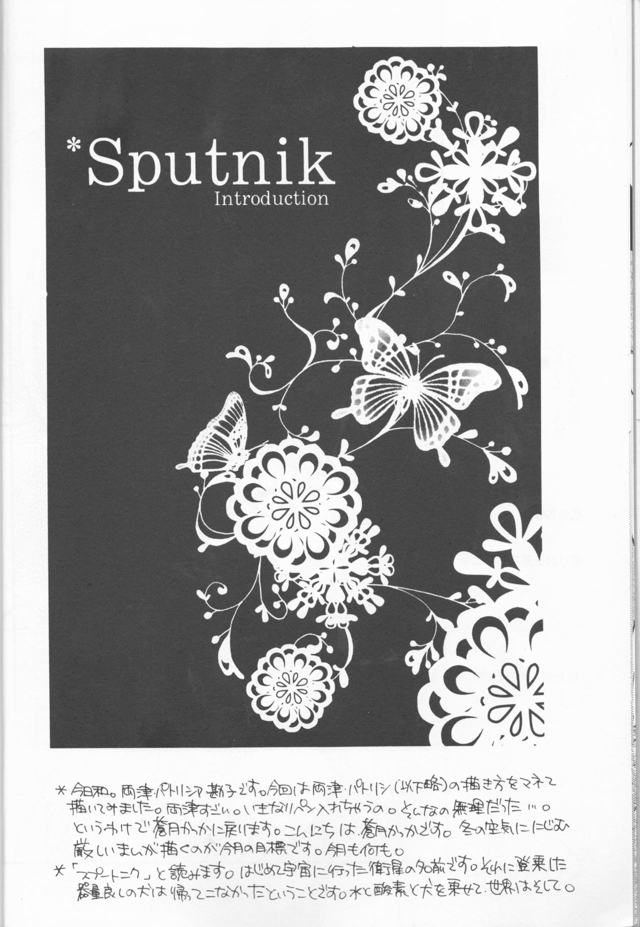 Sputnik Introduction page 8 full