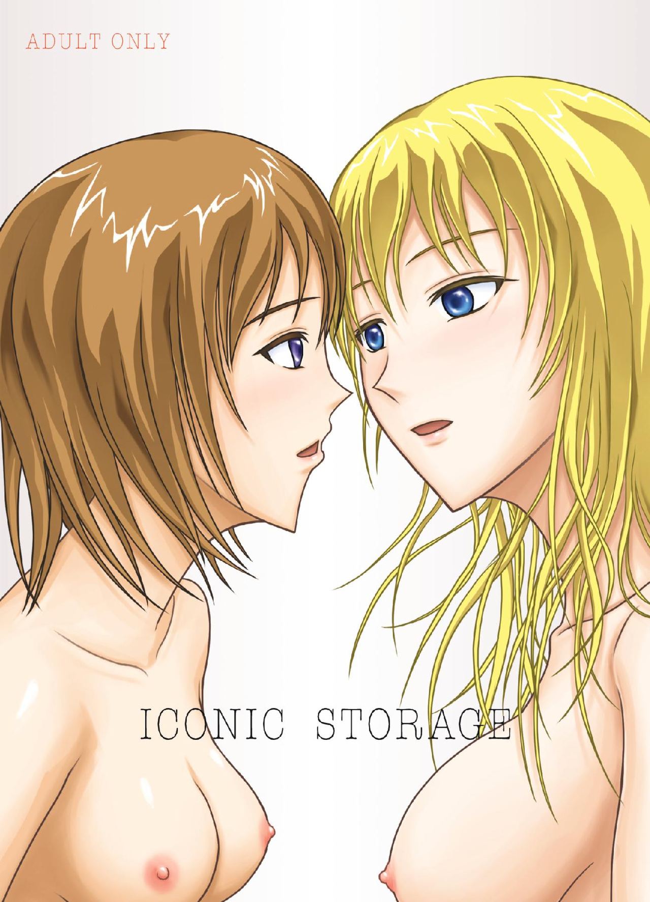 Iconic Storage page 1 full