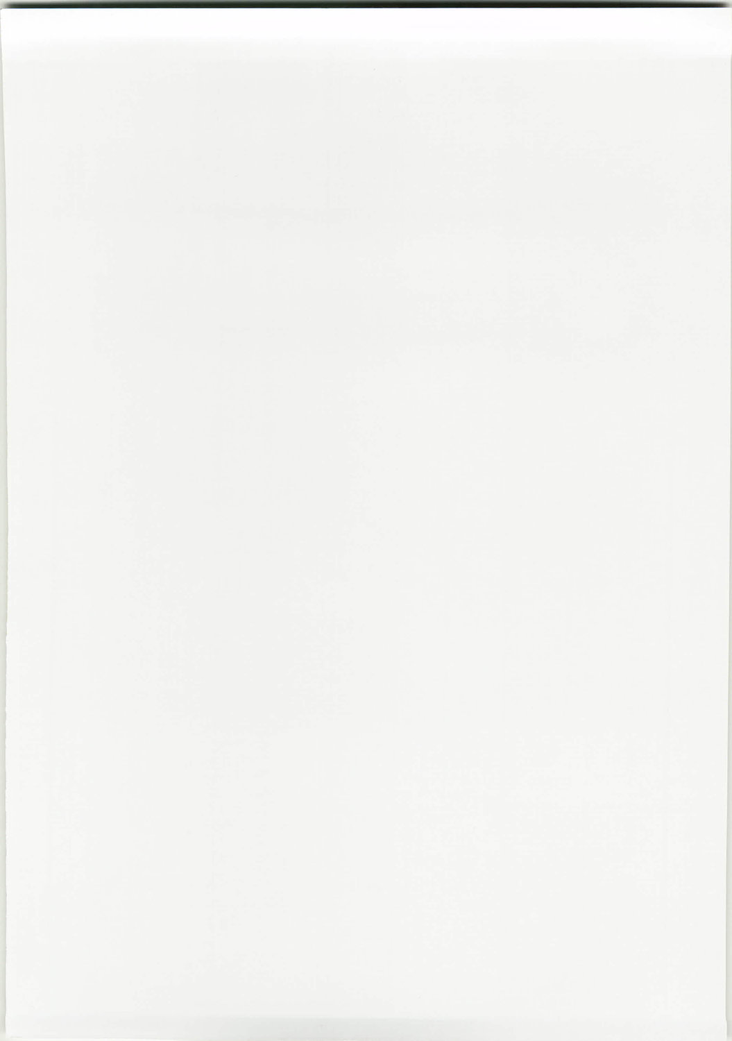 Inran Nekozuma Nikki page 2 full