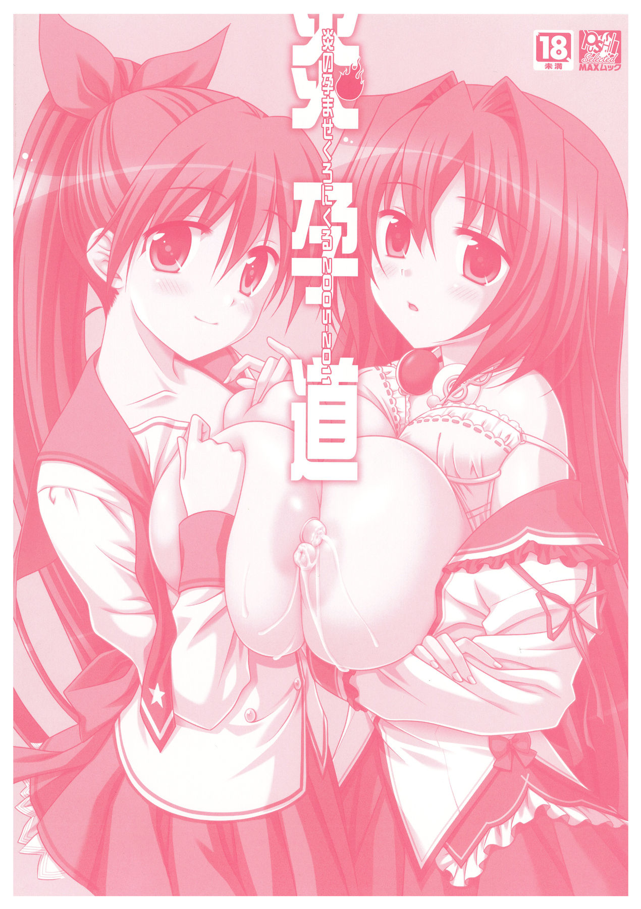 EnYouDou ~Honoo no Haramase Chronicle 2005-2011~ page 2 full