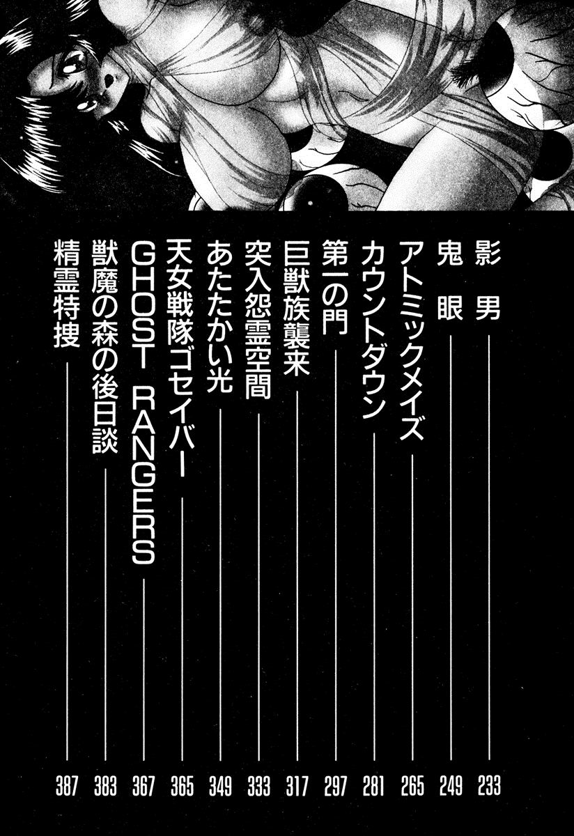 Seirei Tokusou Fairy Saber EX page 8 full