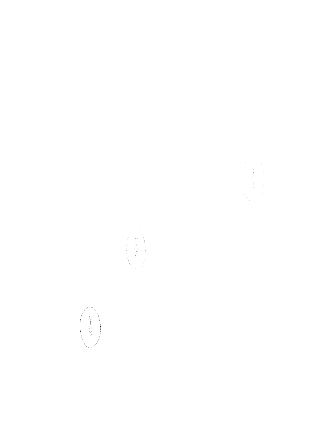 Hoshi no Kage page 5 full