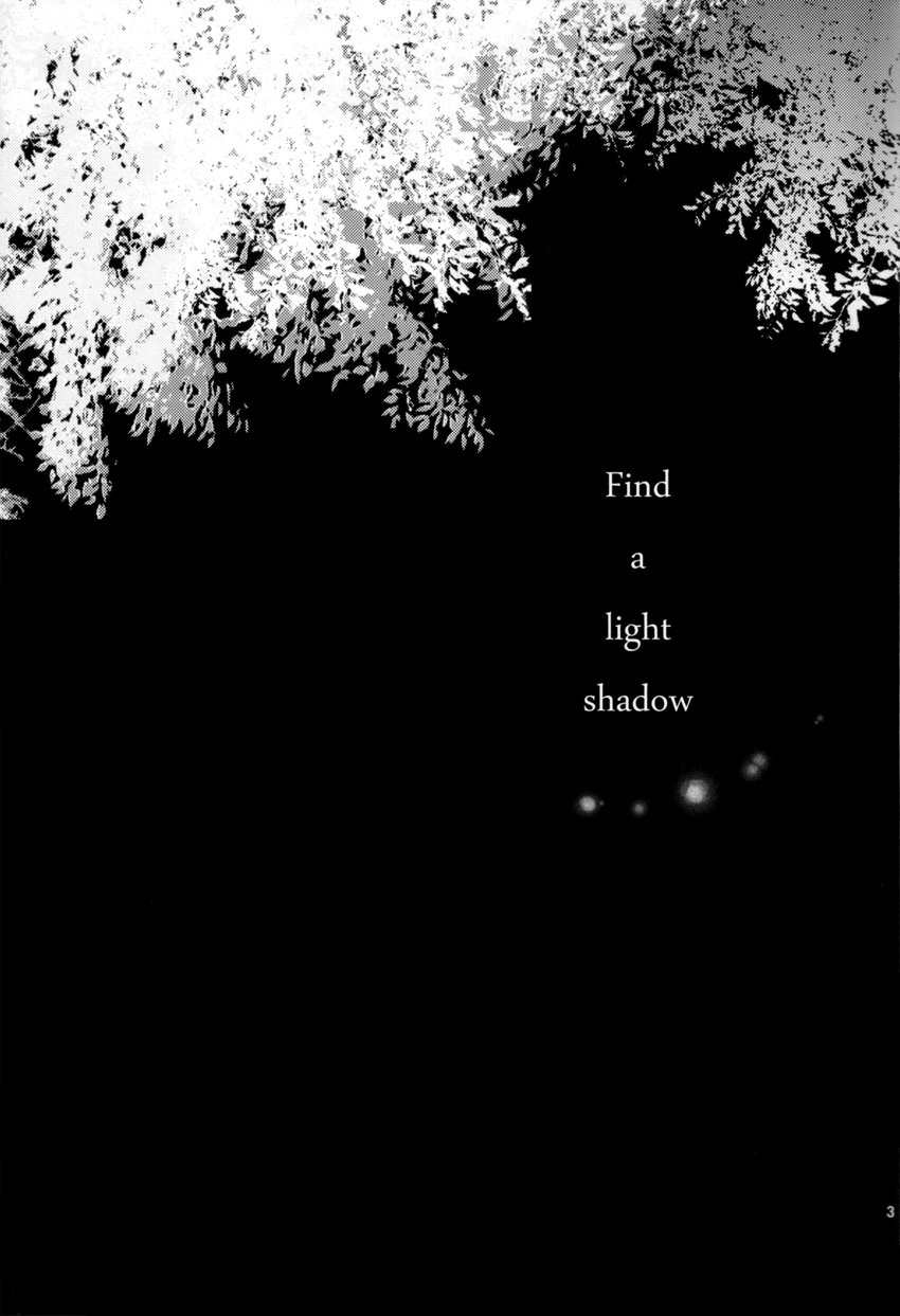Find a light shadow page 2 full