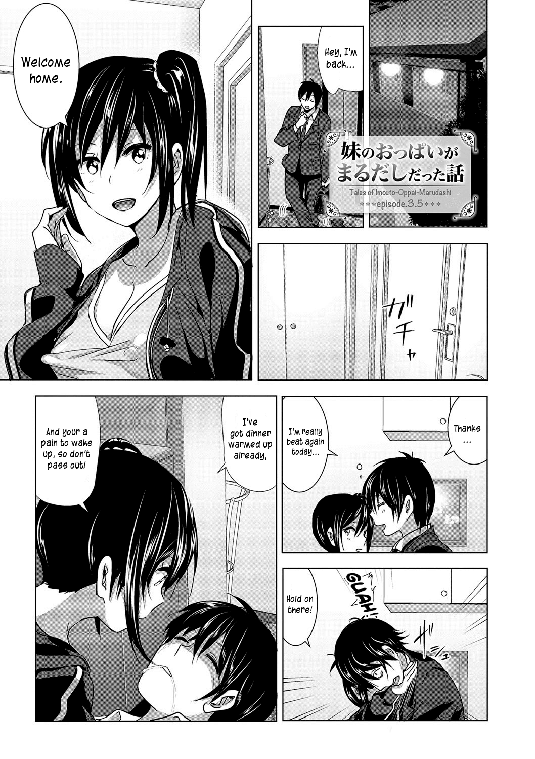Imouto no Oppai ga Marudashi Datta Hanashi 3.5 page 2 full