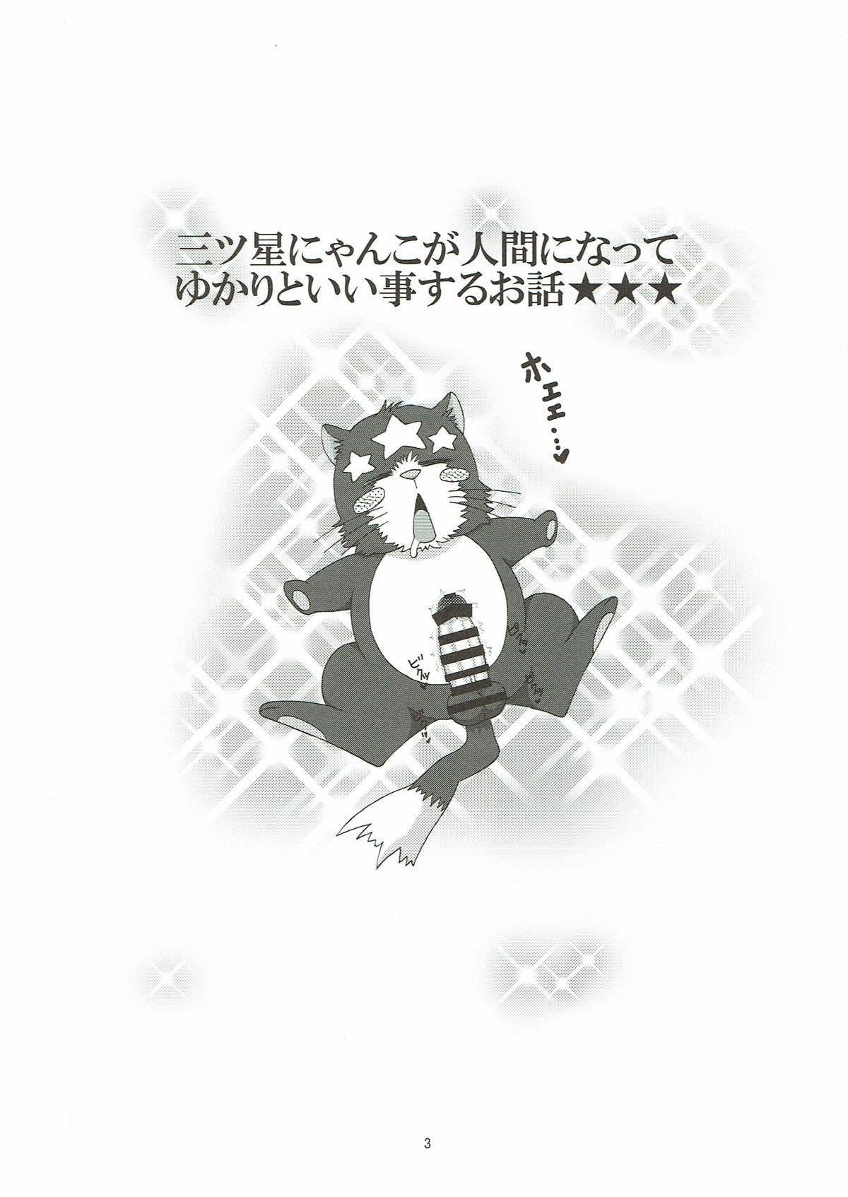 Yukari to Mitsuboshi Nyanko page 2 full