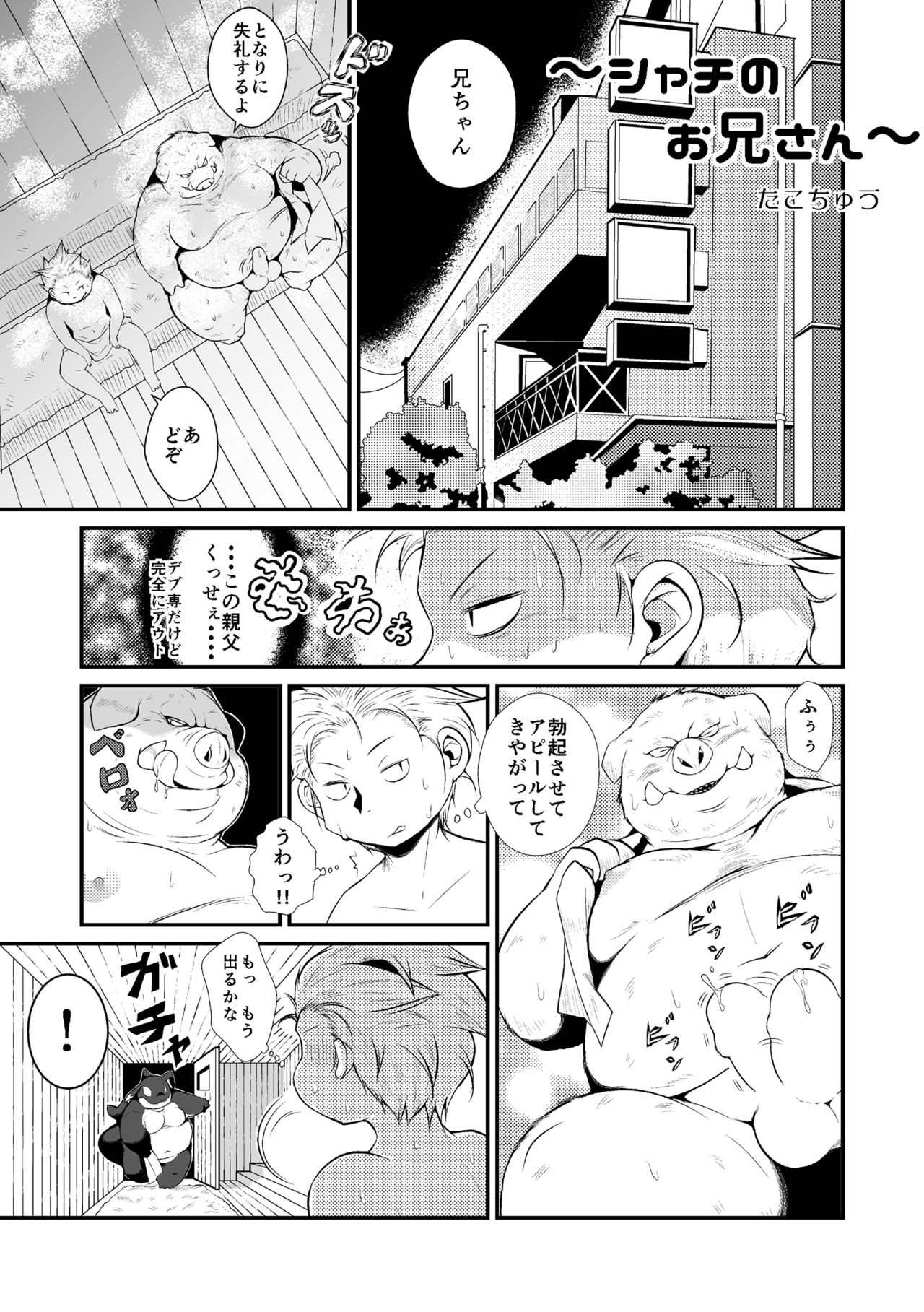 Shachi Hoko page 2 full