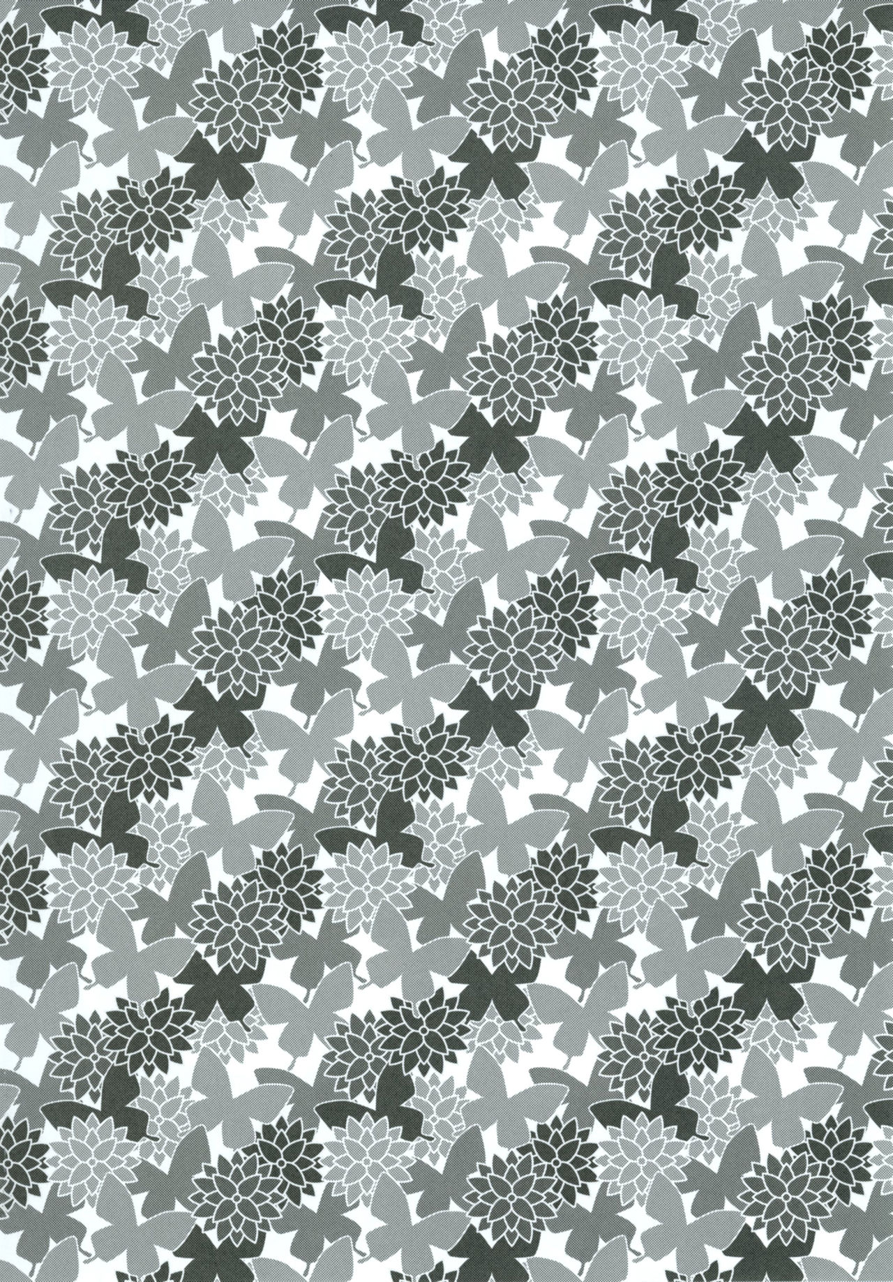 Pirka Ruanpe page 3 full