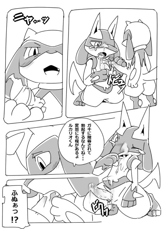 ルカリオの憂鬱 page 5 full