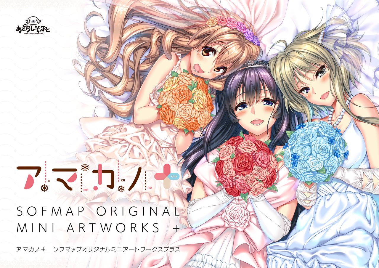 amakano+_sof page 1 full