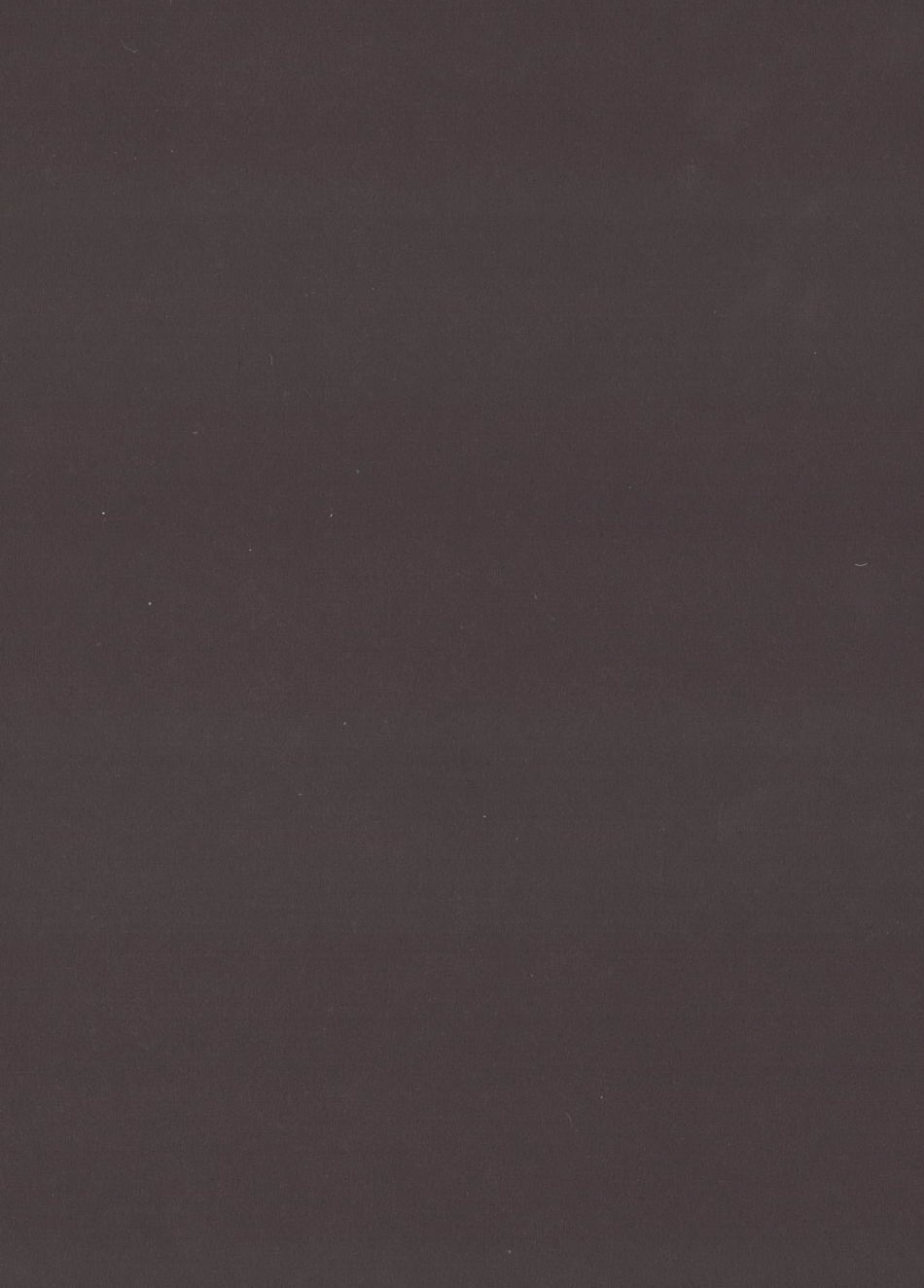 Aru Hi no Sawamura Eijun no Sainan page 4 full