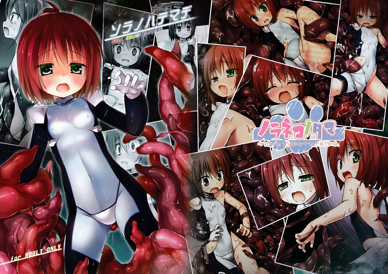 Sora no Hate Made FULL COLOR EDITION page 2 full