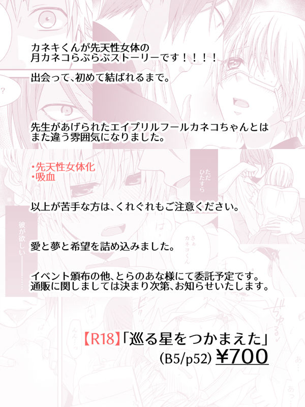 Meguru hoshi o tsukamaeta sample page 10 full