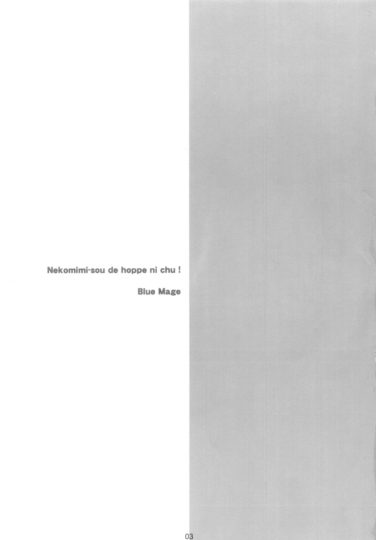 Nekomimi Sou de Hoppe ni CHU! page 2 full