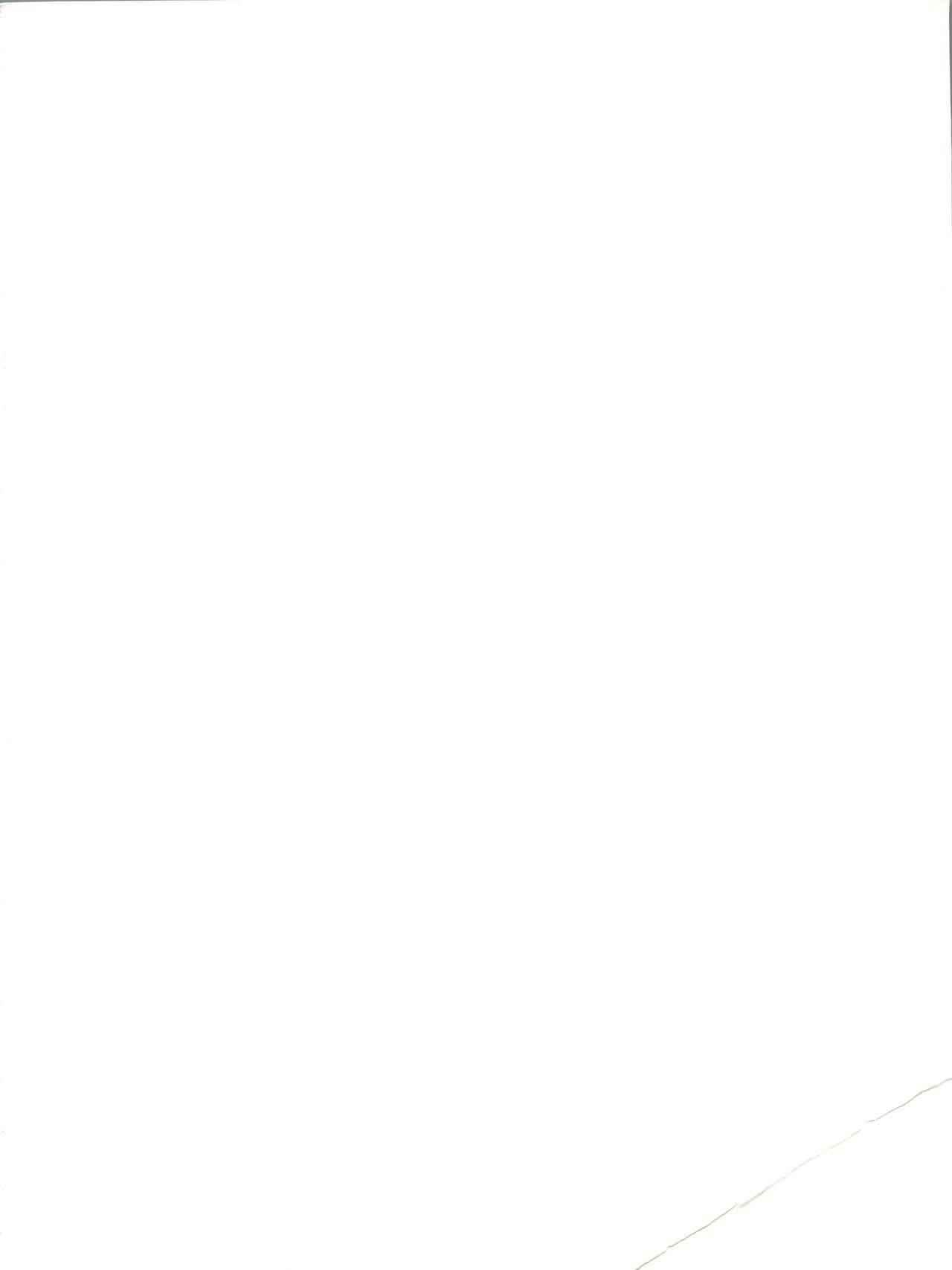 Licca Mama page 2 full