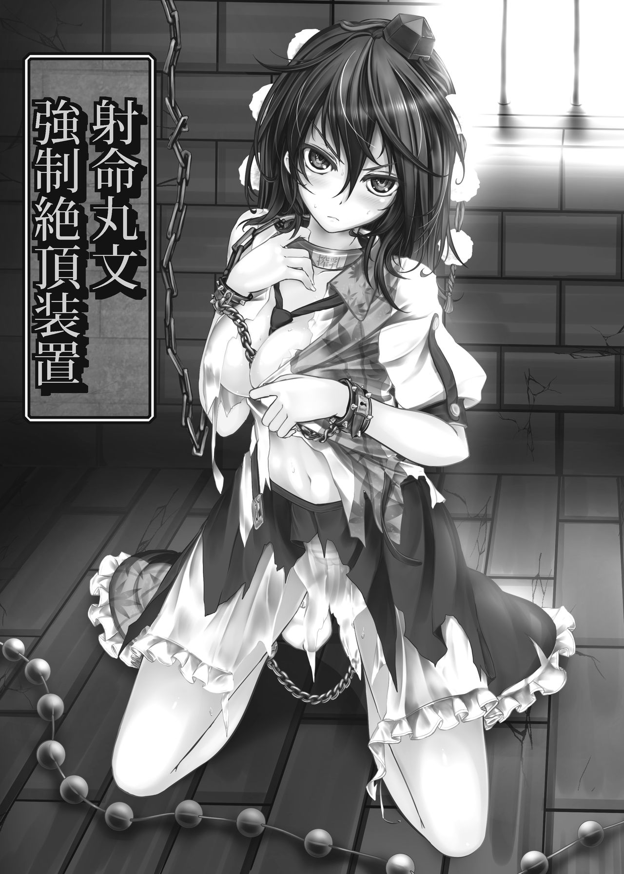 Shameimaru Aya Kyousei Zecchou Souchi page 2 full