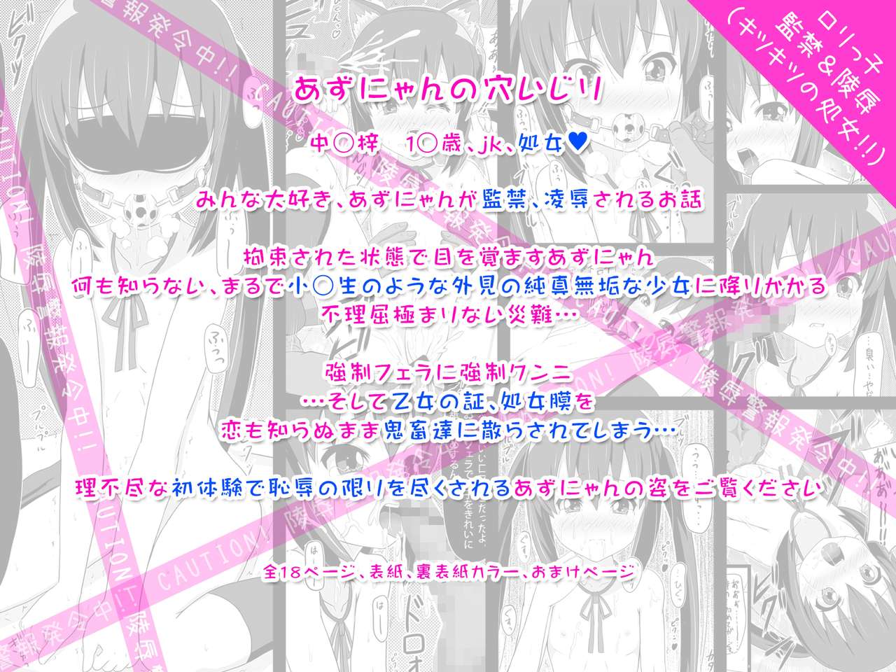 Shoujo-tachi no Zetsubou Ubawareta Heroine-tachi no Junketsu... page 5 full