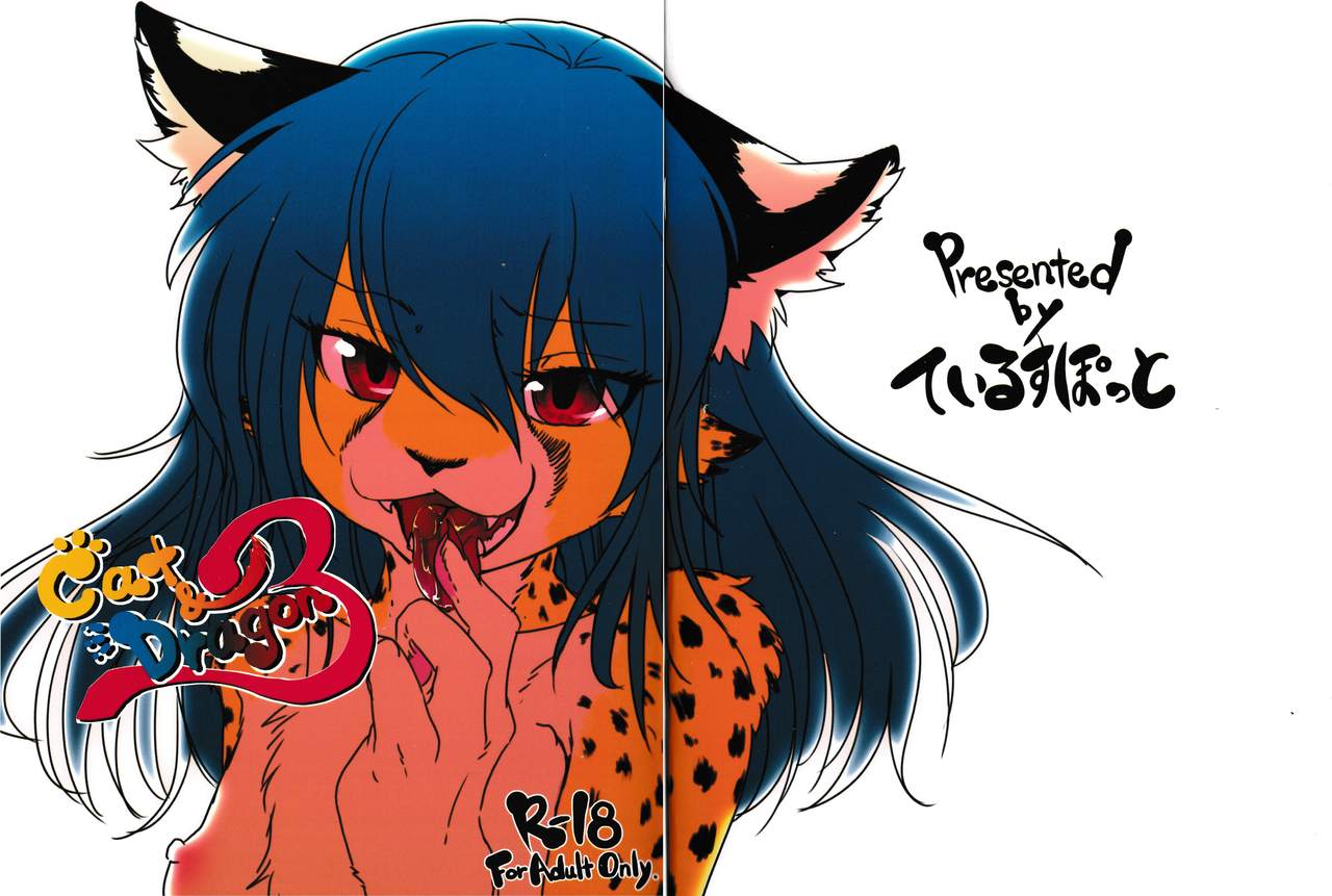 Cat & Dragon 3 page 1 full