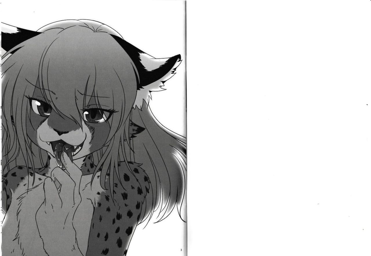 Cat & Dragon 3 page 2 full