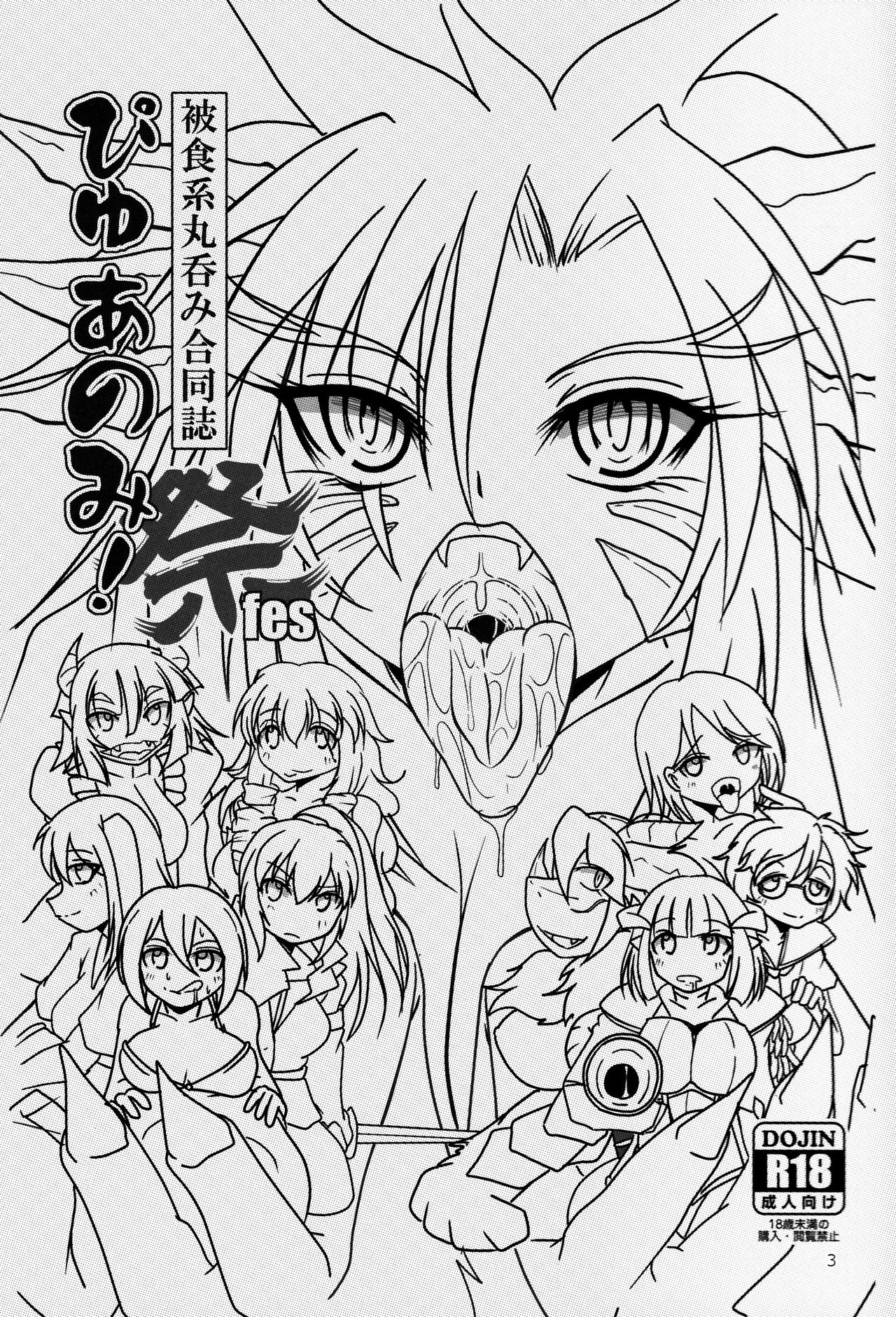 Pure Nomi! fes page 3 full