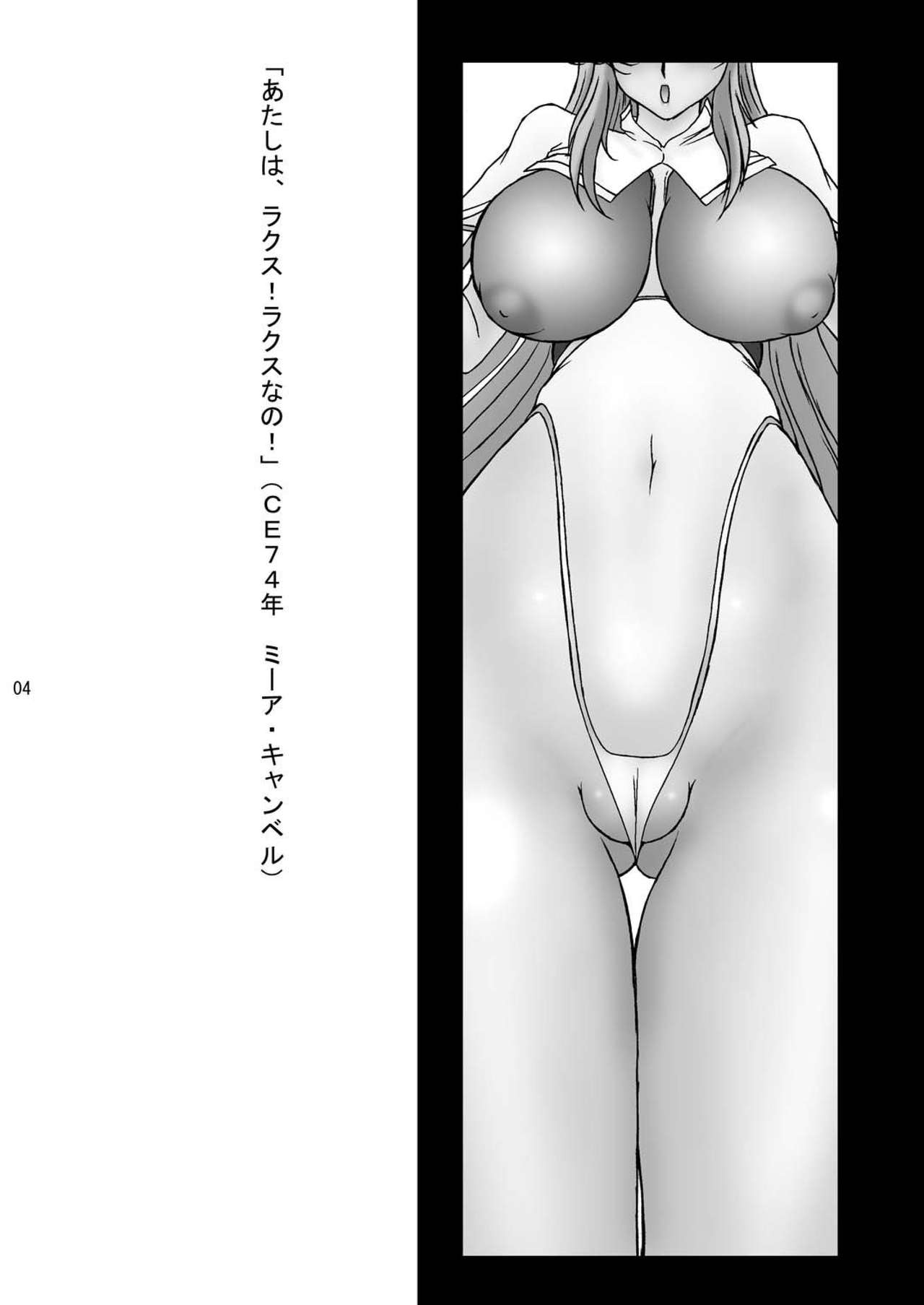 Perfect grade Meer page 4 full