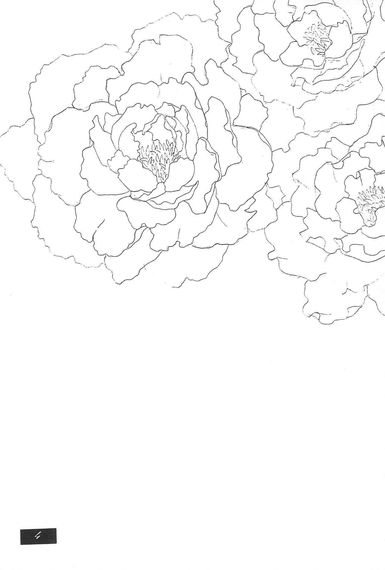 SHOUTING STAR page 6 full