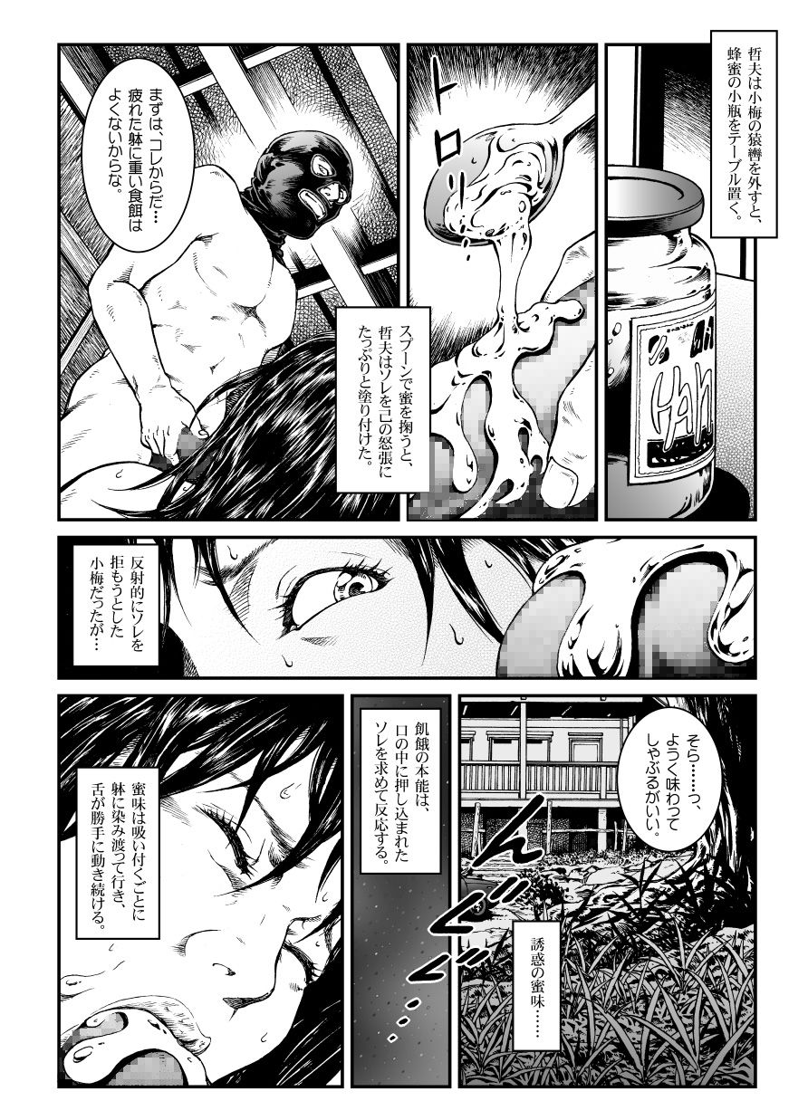 Yokubou Kaiki Dai 451 Shou - Shouwa Ryoukitan Nyohan Shiokinin Tetsuo Gion Maiko Yuukai Jiken  - page 9 full