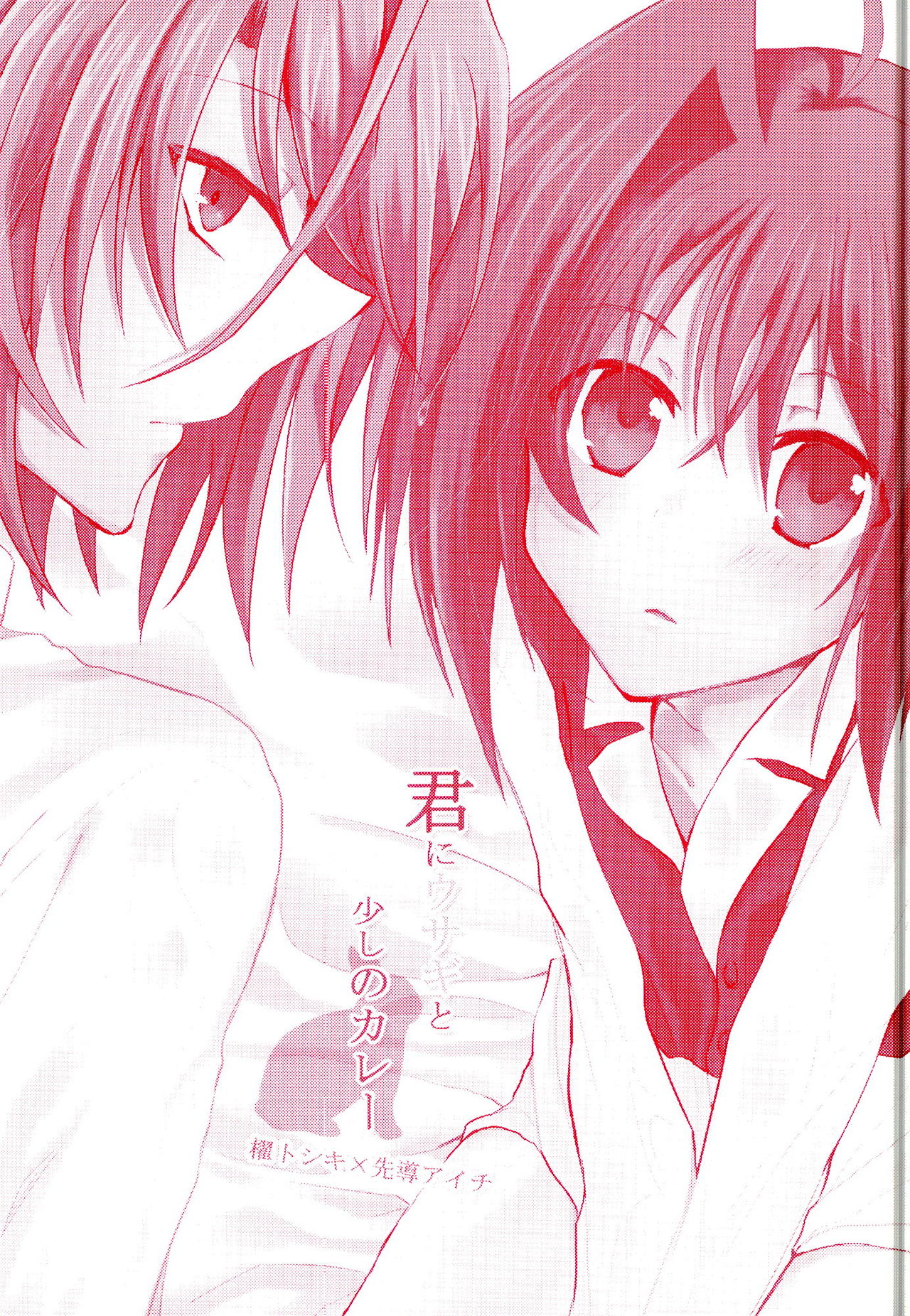 Kimi ni Usagi to Sukoshi no Curry page 3 full