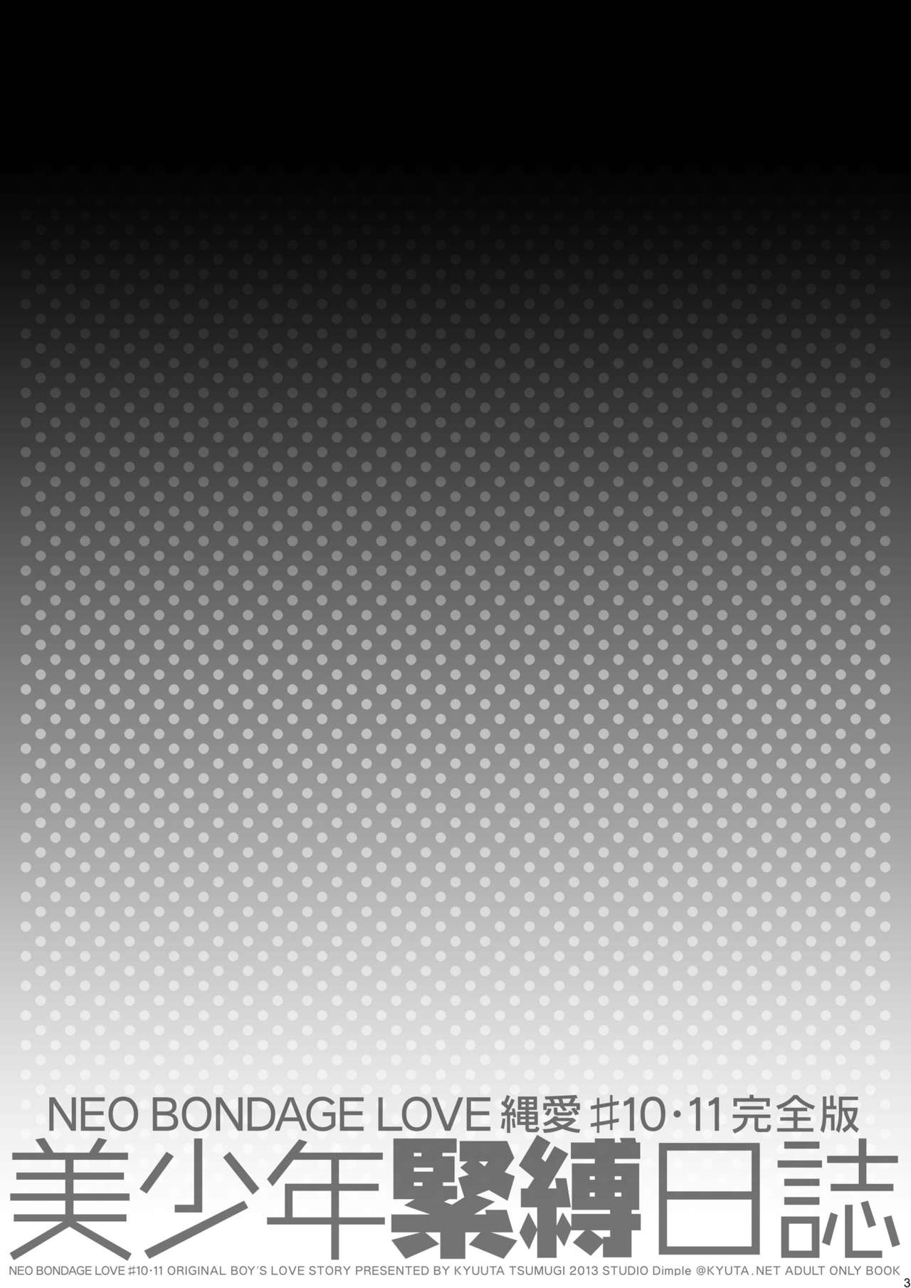 Bishounen Kinbaku Nisshi 10-11 page 4 full