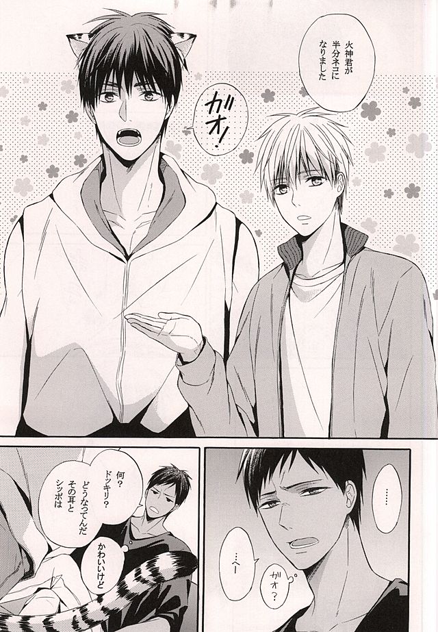 Ore no Kagami ga Konna ni Kawaii Wake ga Nai page 2 full