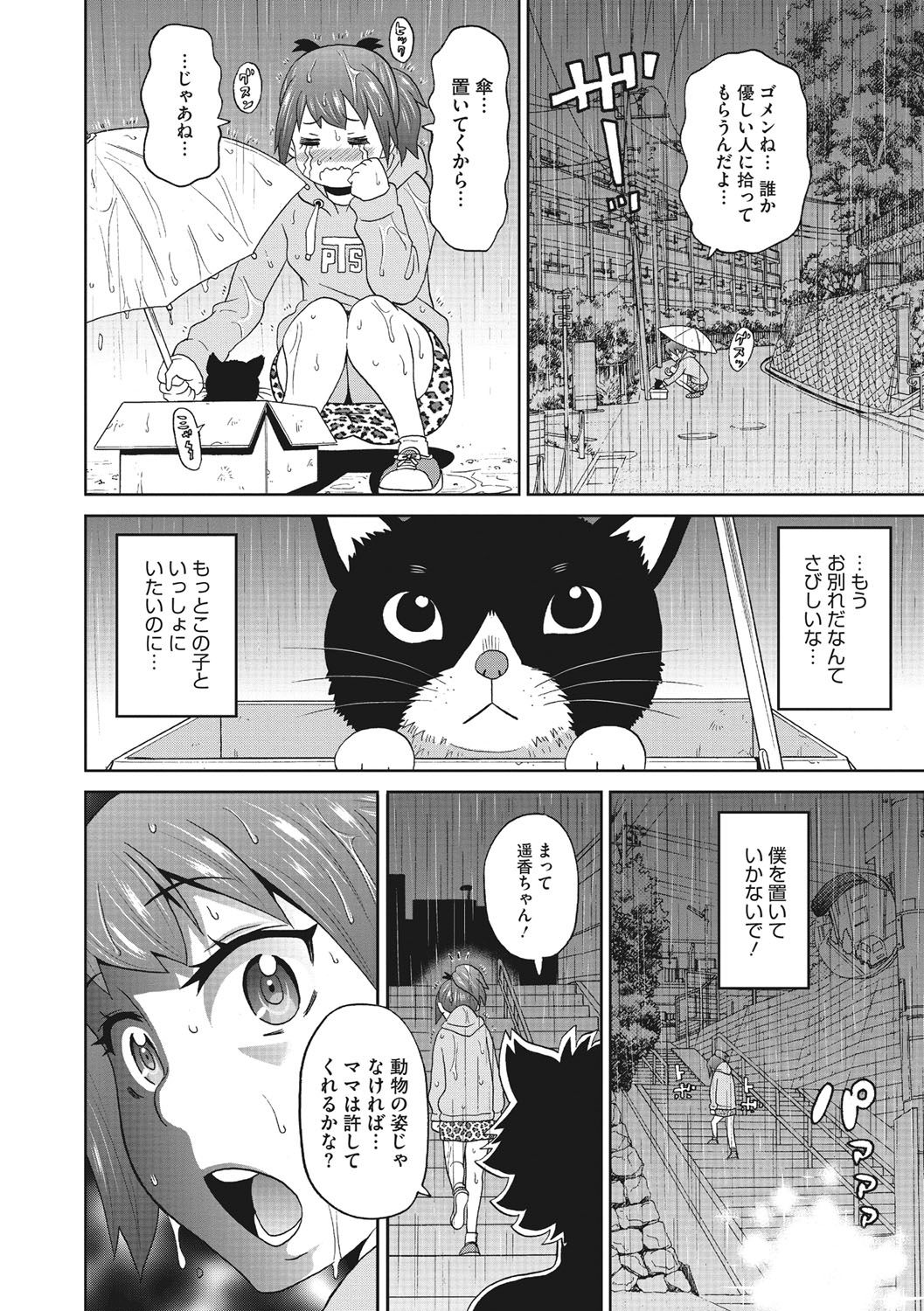 Itoshiki Acmate - My Lovely Acmate page 5 full