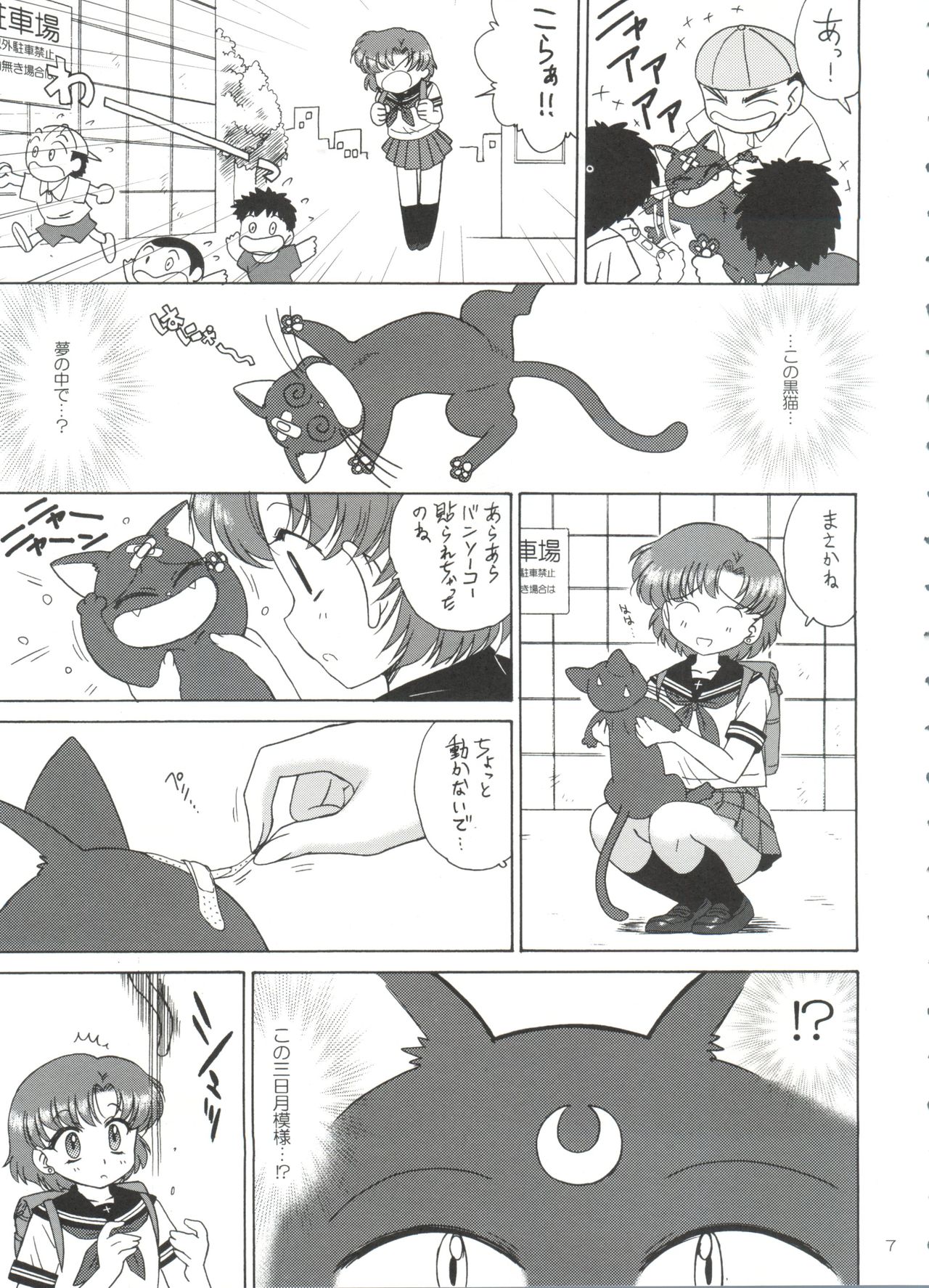 SUBMISSION-R RE MERCURY page 6 full