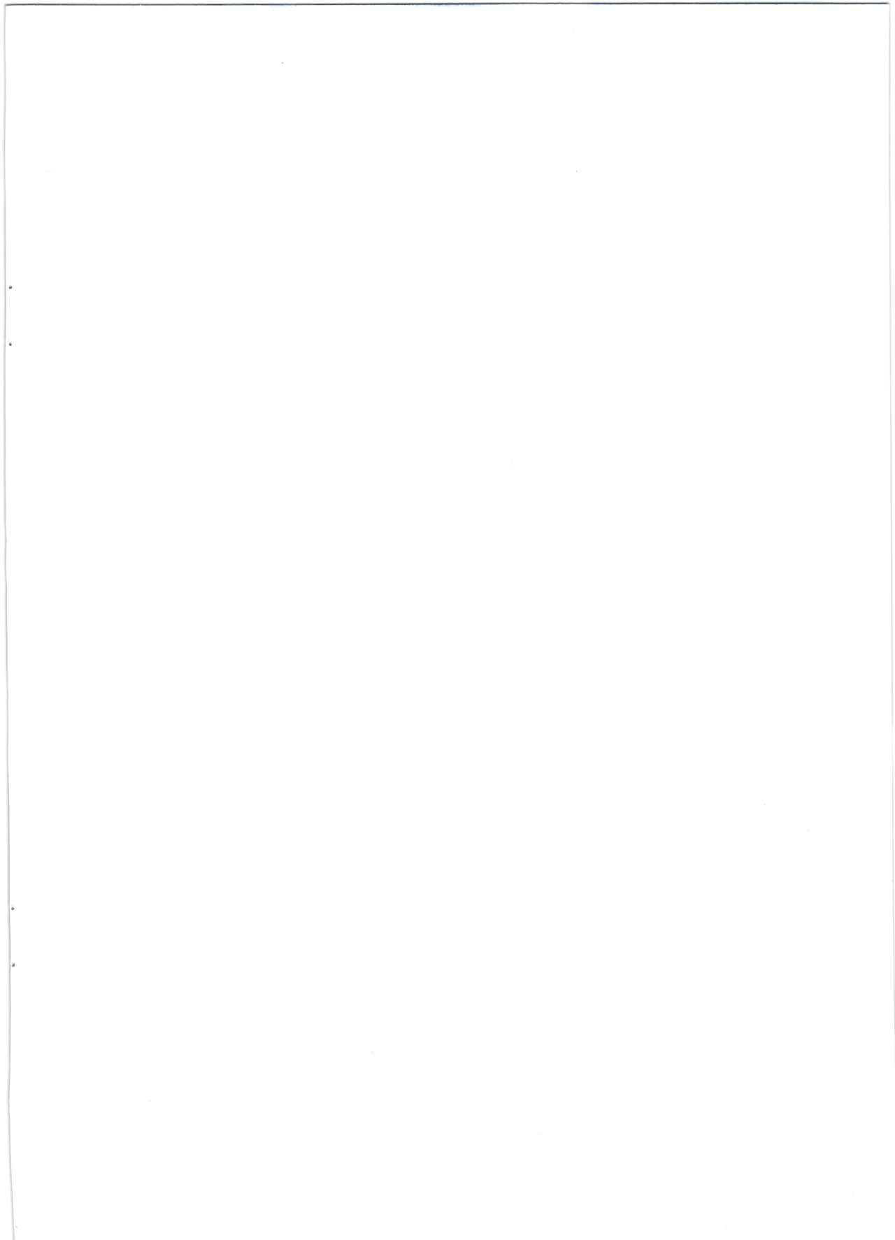 Chaldea Fuck Vacation page 2 full