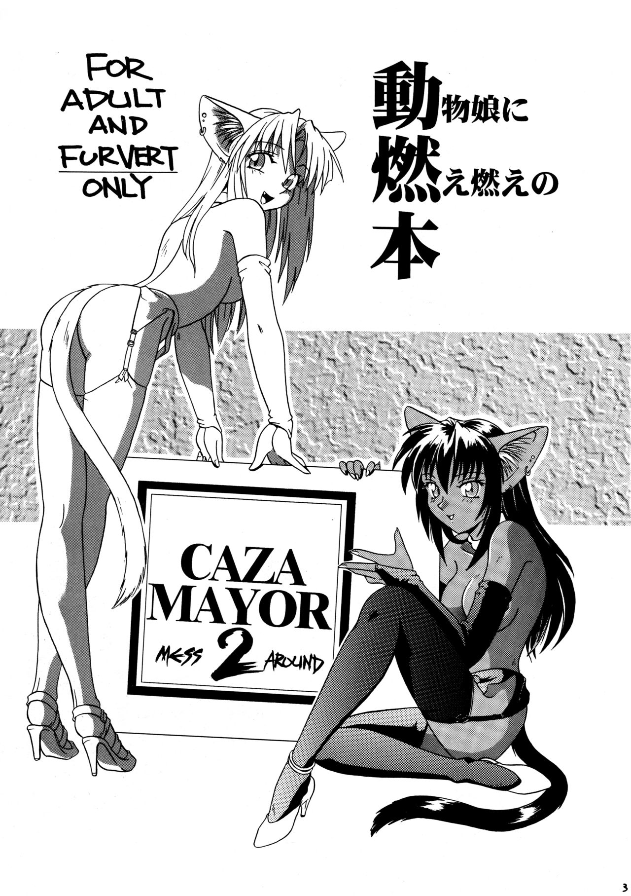 CAZA MAYOR 2 page 3 full