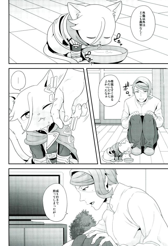 Gendai Parody ni Okeru Neko no McGillis to Gaelio no Kanousei ni Tsuite page 3 full