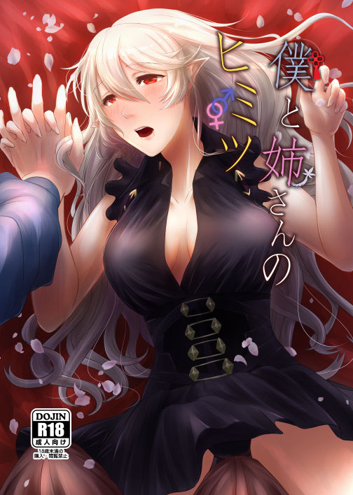 Boku to Nee-san no Himitsu page 1 full