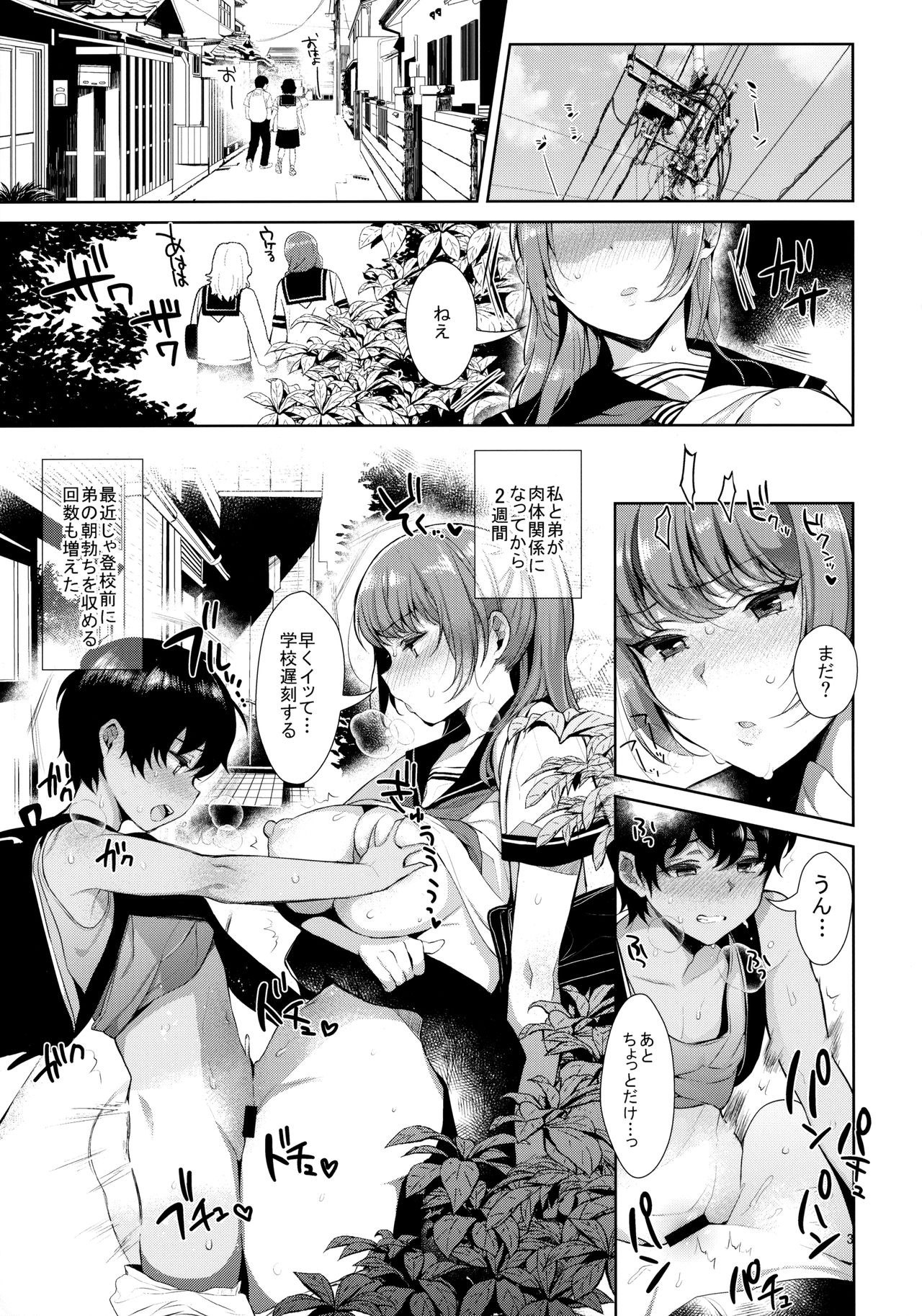 Kyoudai ni Okeru Seikoushou no Kiroku page 4 full