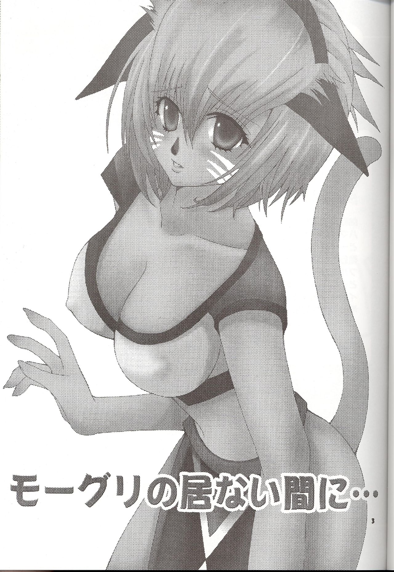 Moogle no Inai Aida ni... page 2 full