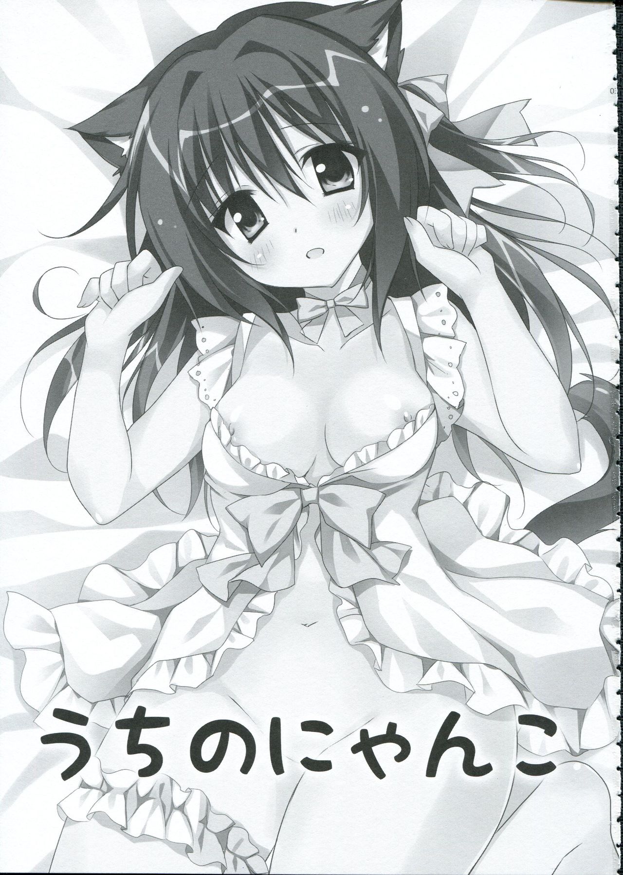 Uchi no Nyanko page 2 full