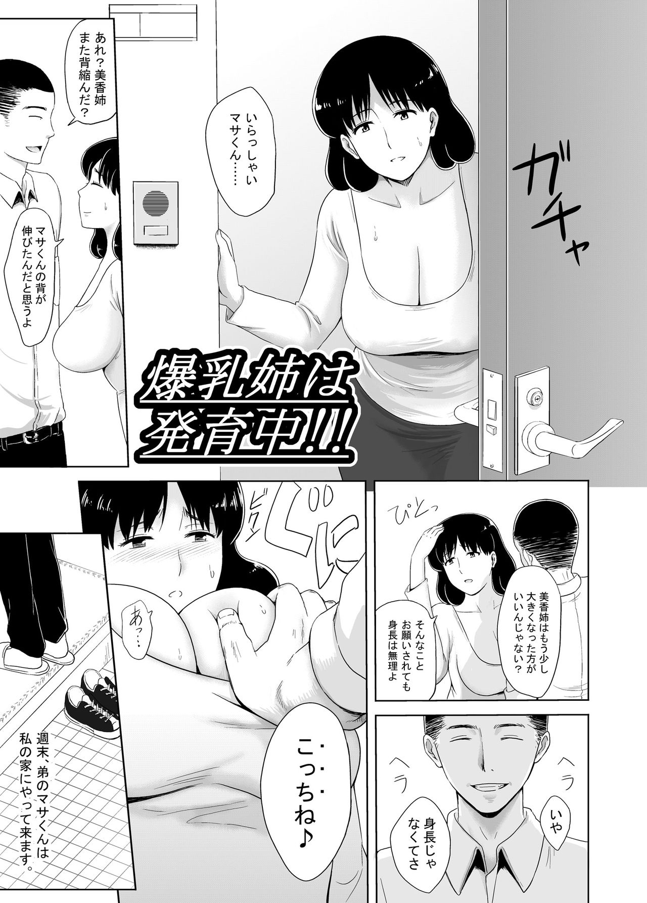 Bakunyuu Ane wa Hatsuikuchuu!! page 3 full