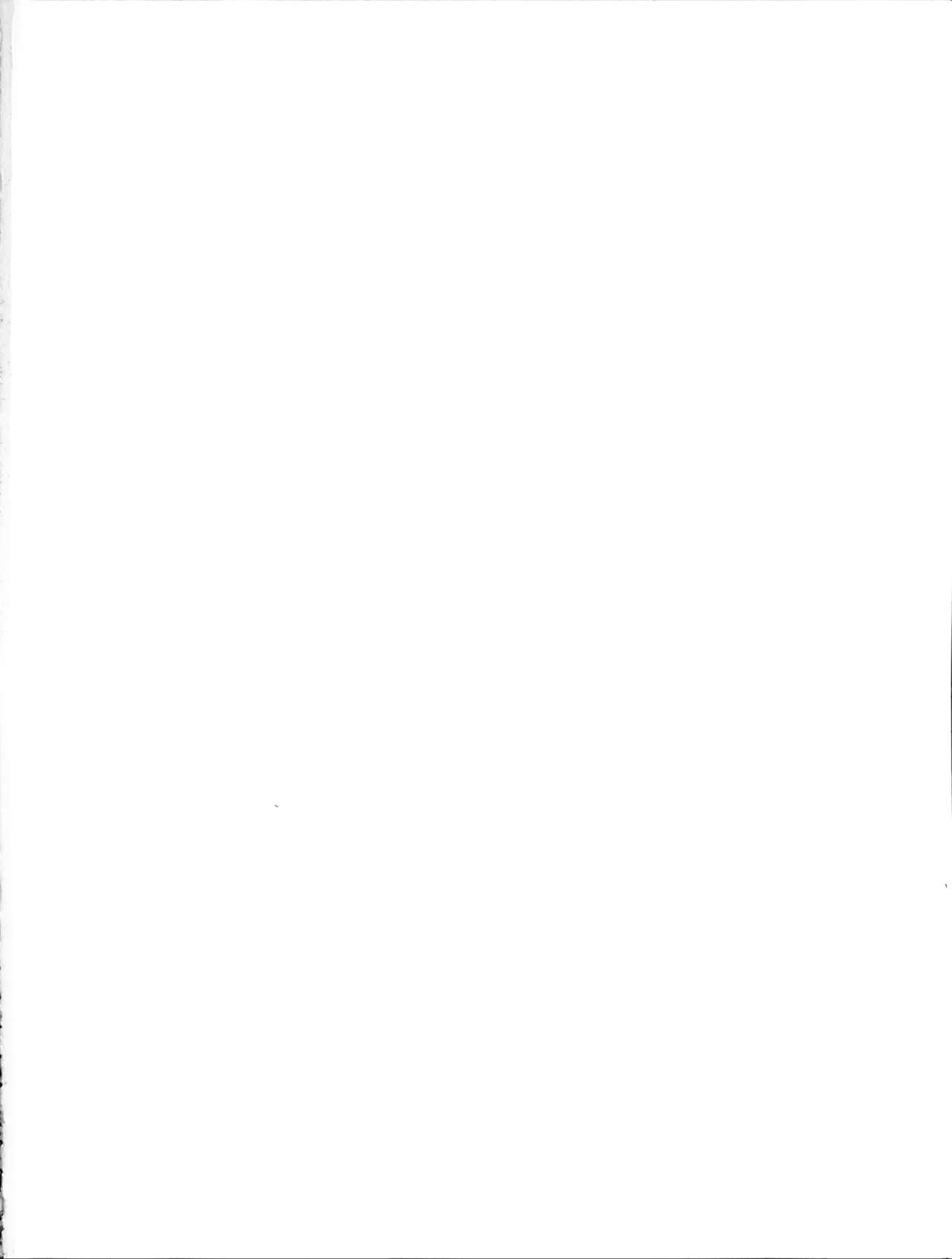 Touhou Somezome Musume page 2 full