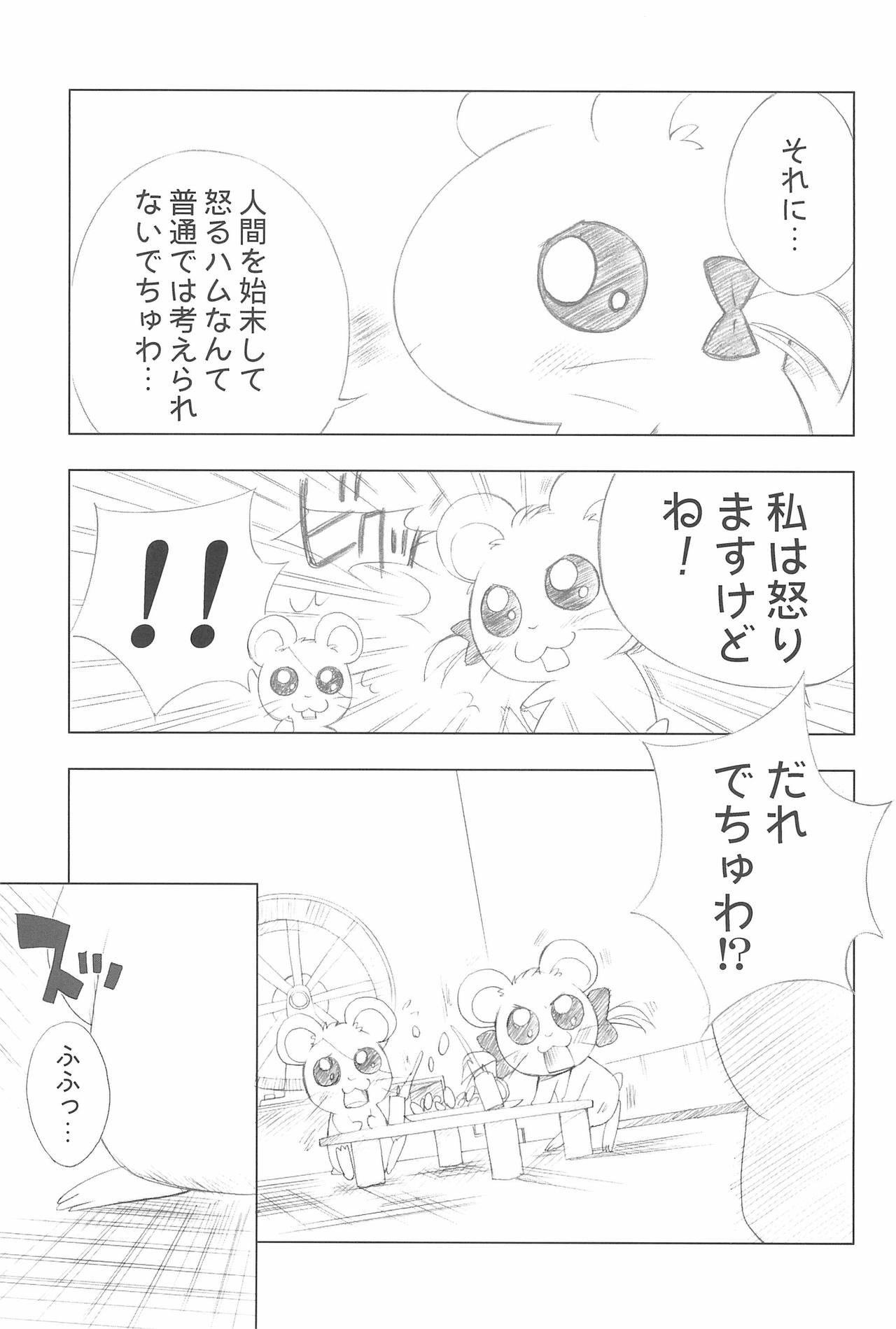 Conquest of the Planet of the Hams page 5 full