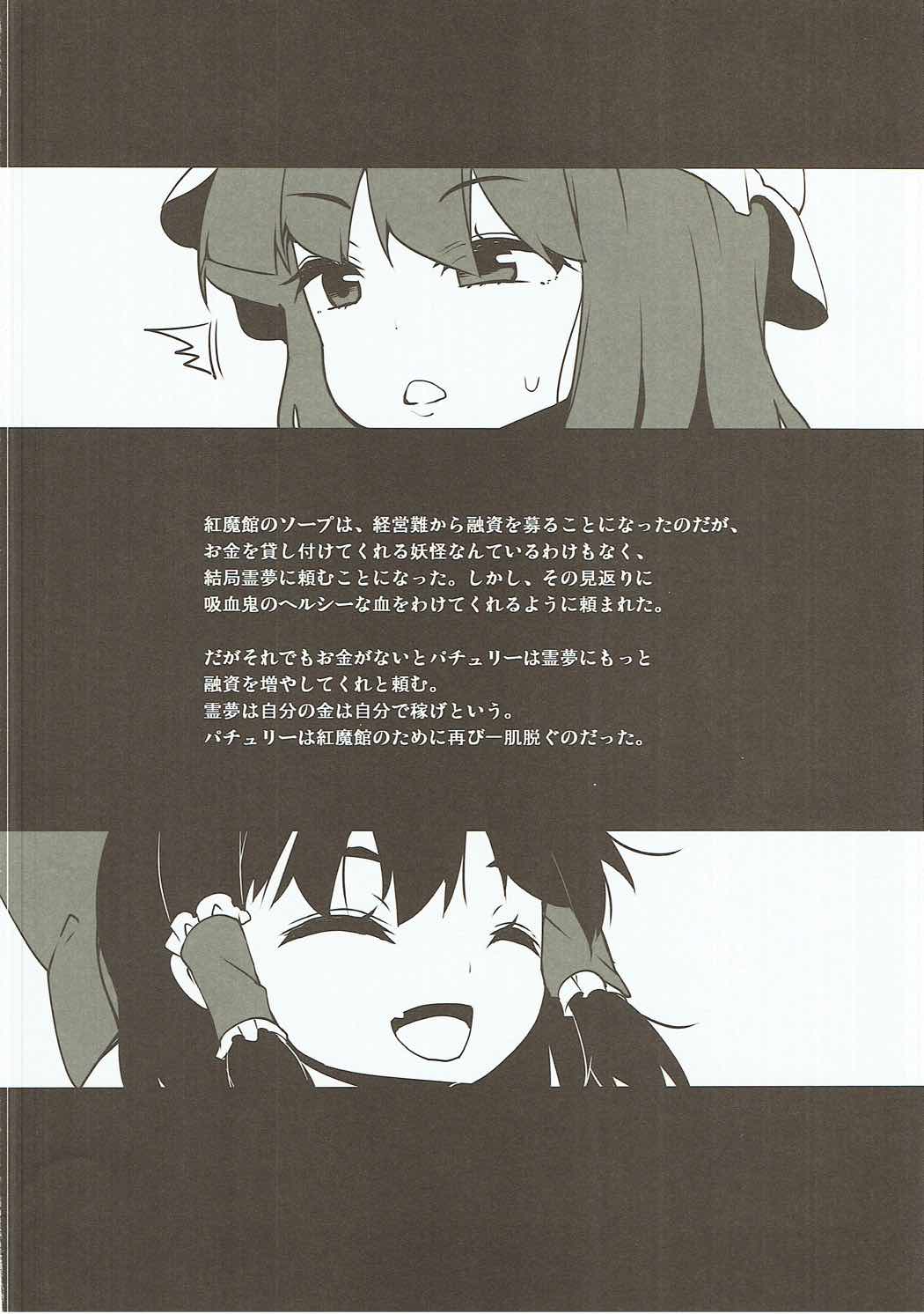 PacheHeal page 3 full