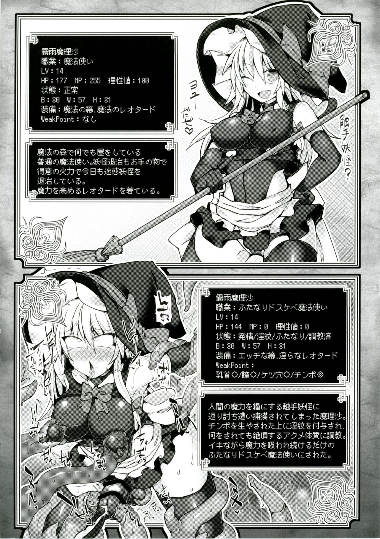Touhou Ero Status Goudou page 10 full