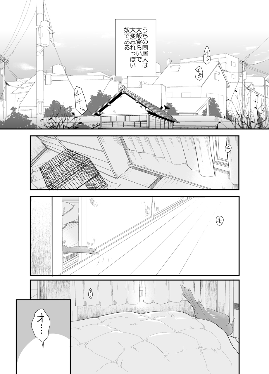 20161231 page 3 full