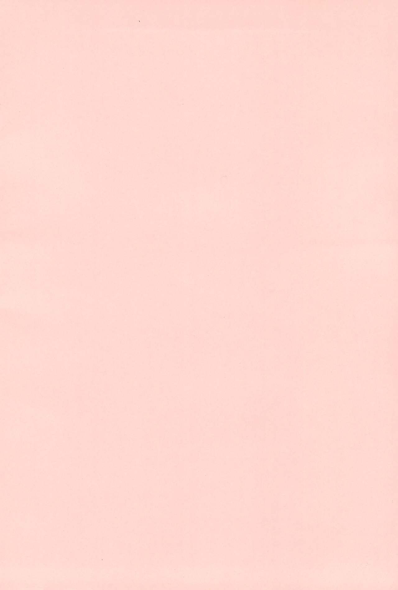 P.P.Plan 4 page 2 full