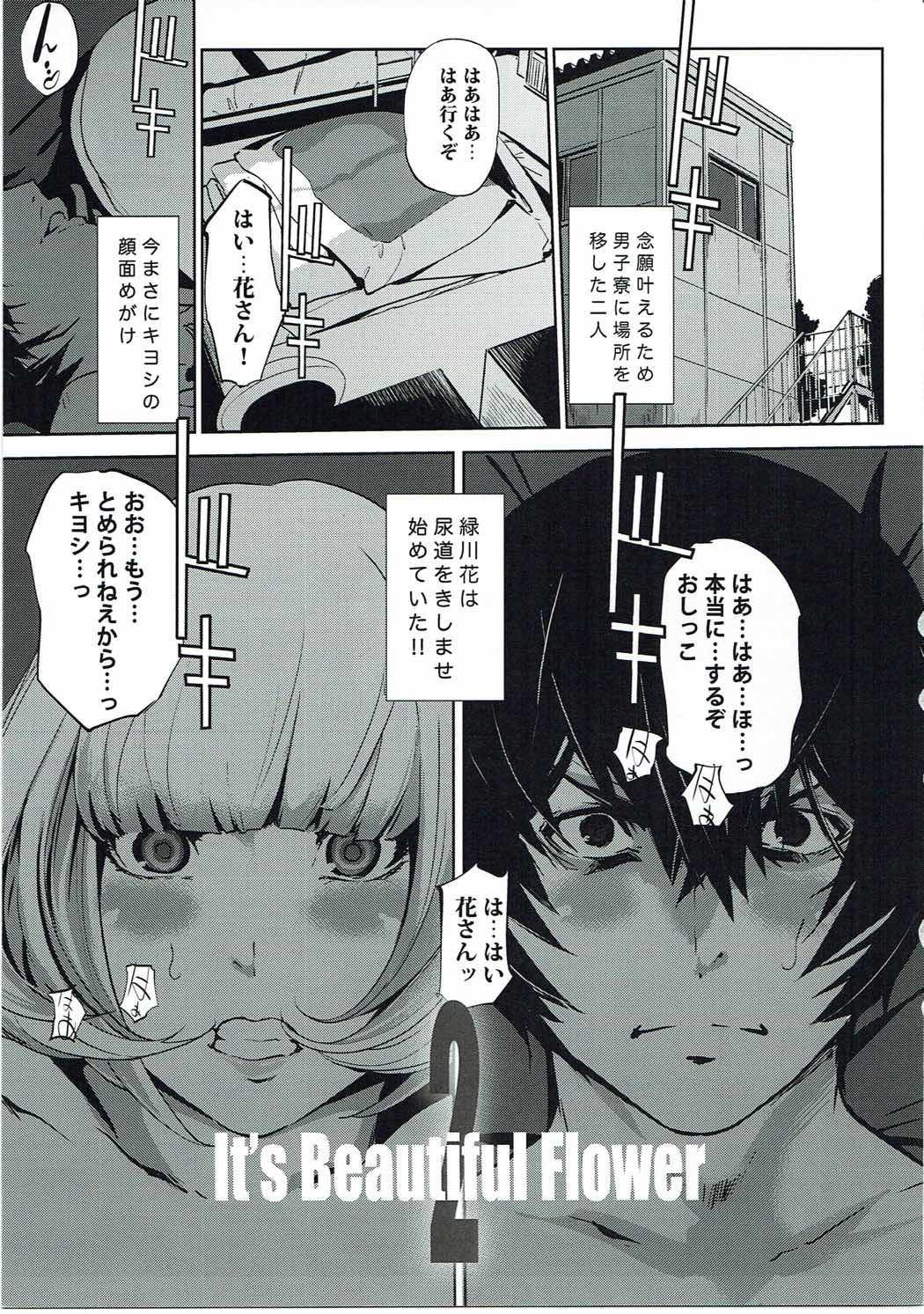 It's beautiful flower 2 page 2 full