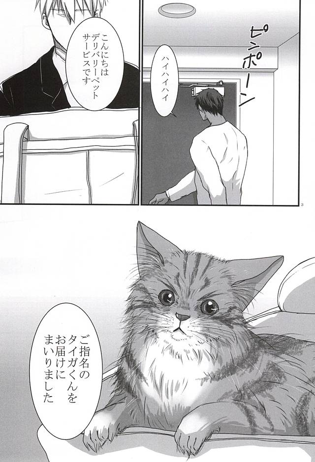 THE PET DELIVERY SERVICE 2 page 2 full